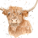 A4 Watercolour ‘Hamish’ highland cow print