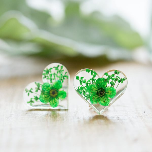 Real Flower Earrings Green Hearts Sterling Silver Botanical Jewelry Pressed Flow