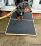 16 cm H x 40cms W x 40cms L. SHORT BASE Patio Ramp - Image 2