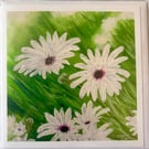 Greetings card - The White Collection - Oestrospermums