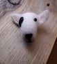 Bull Terrier Brooch 