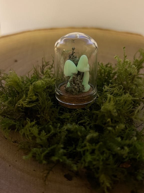 Little Mushroom Curio Jar 