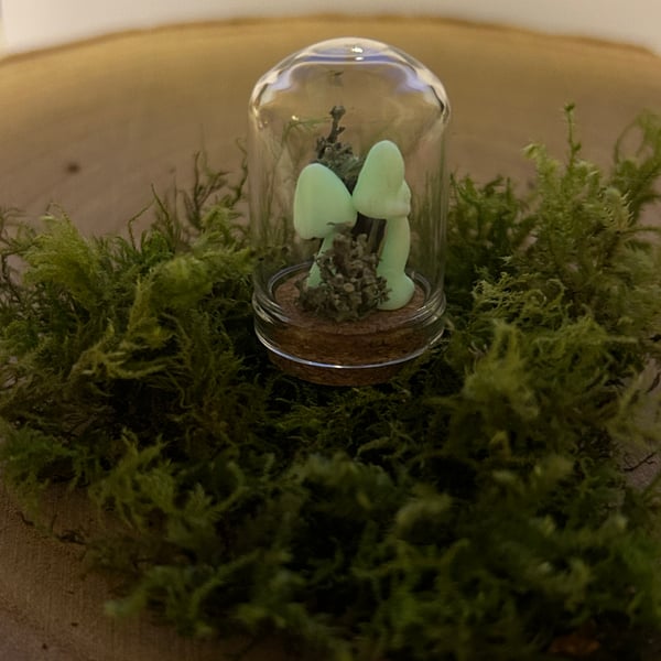 Little Mushroom Curio Jar 