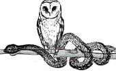 Serpent and Owl