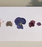 Pack of 4 Handmade Real Pressed Flower Greeting Cards  - Image 5