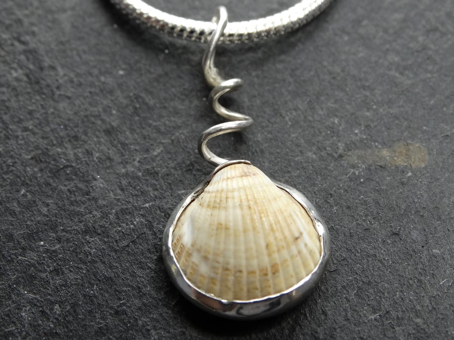 Bian Cockle Pendant. Sterling silver. Shell.