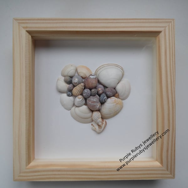 Heart of Cornwall White Tones Sea Shell Picture P154
