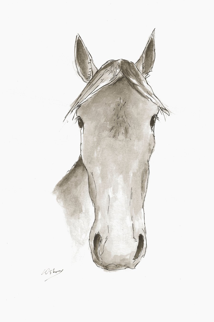 Faithful friend - signed print of horse illustration