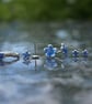 Forget-Me-Not Studs Large - Image 4