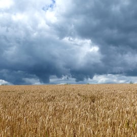 Stormy Skies