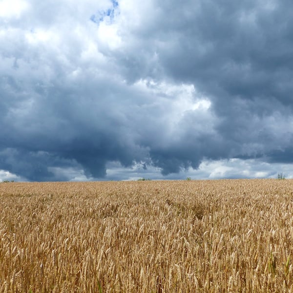 Stormy Skies