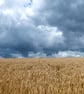 Stormy Skies - Image 1