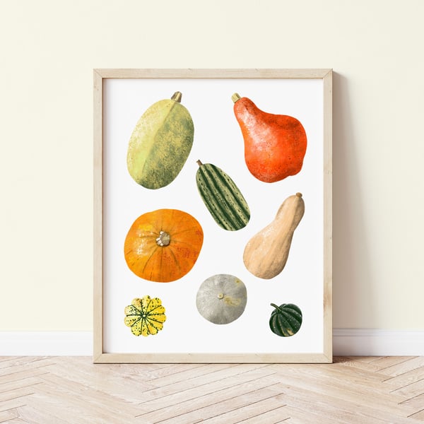 Squash Food Wall Art Print, Illustrated Food Art, Kitchen Prints