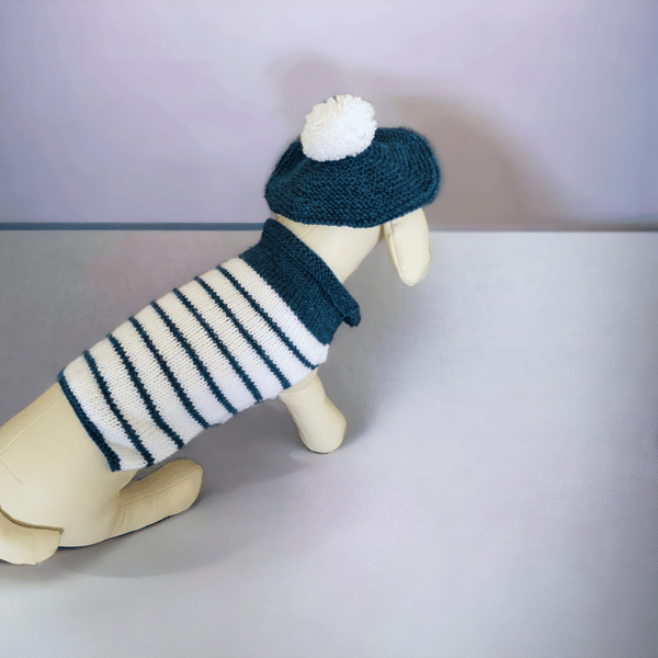 Handknit french beret hat and matching dog jumper