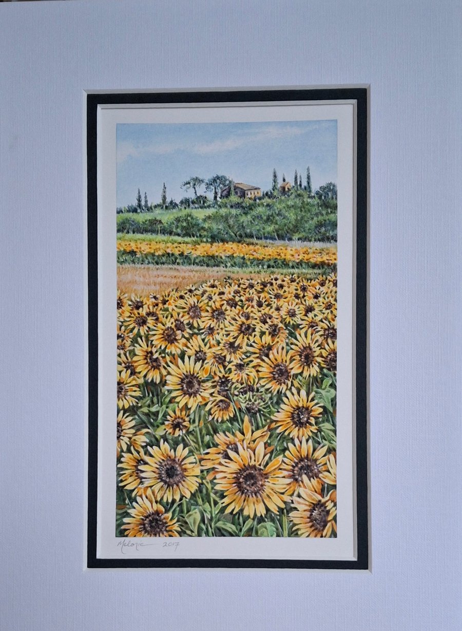 Tuscan Sunflowers