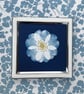 Pretty Botanical Gift, Cyanotype Original Photogram, Botanical Art. - Image 6
