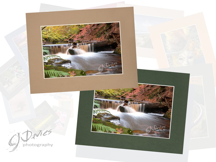 CJ181 - Near Falling Foss