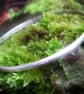 Personalised Silver Bangle - Slinky - Image 3