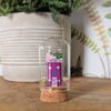 Summer Seconds Miniature Glass Cloche with Wooden Cottage Home Decor 