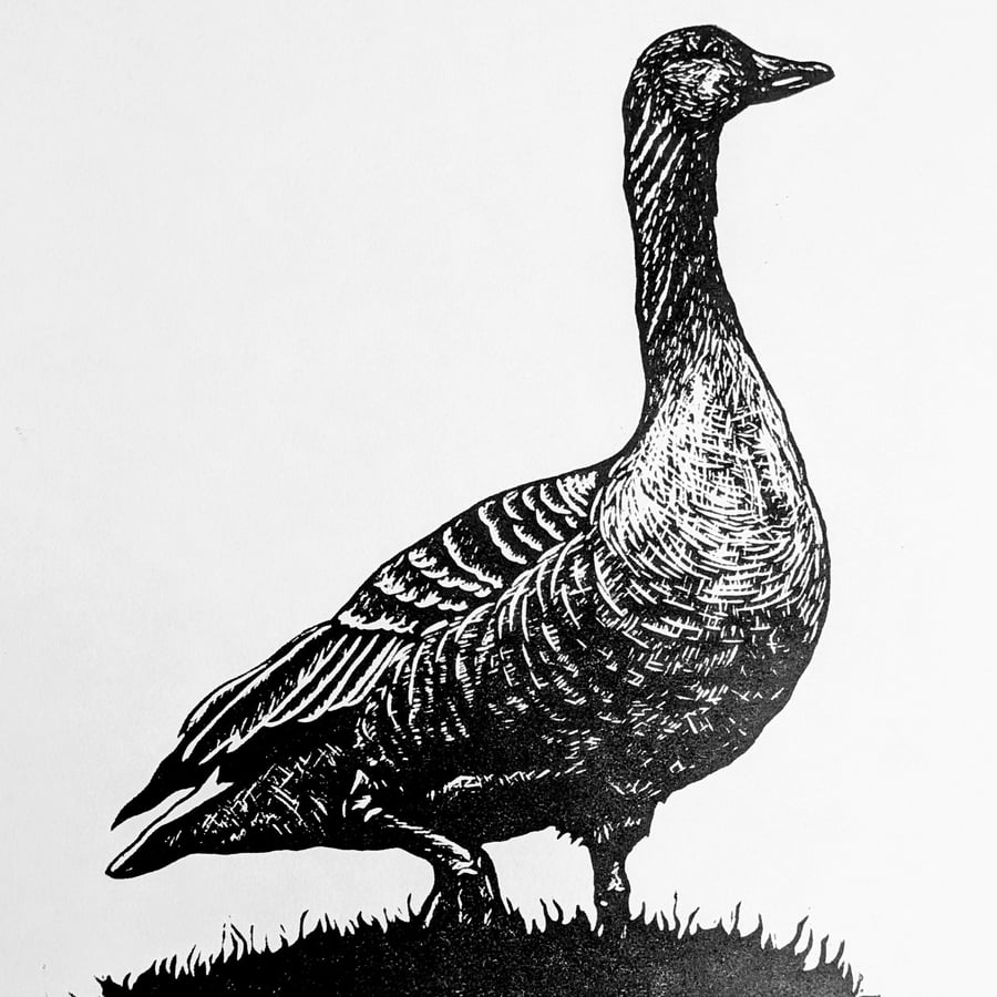 Original linoprint of a greylag goose 