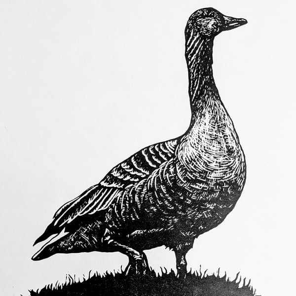 Original linoprint of a greylag goose 