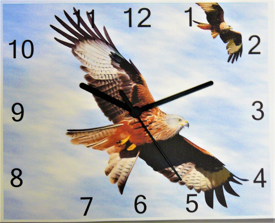 red kite bird of prey wall hanging clock raptor bird 
