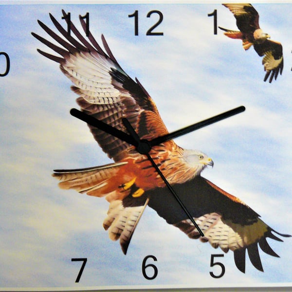 red kite bird of prey wall hanging clock raptor bird 