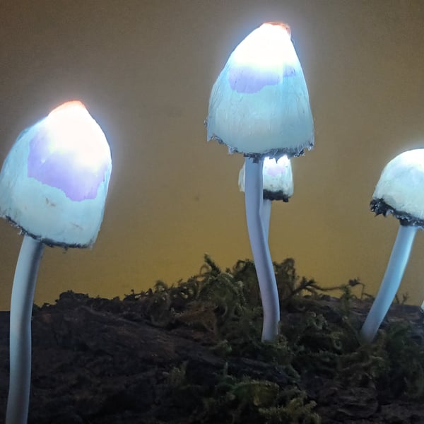 Mushroom Light- Lamp - 6 Psolocybe Semilanceata (Magic Liberty cap) sculpture B 