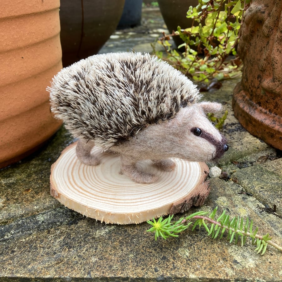 Needle felted Hedgehog