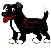 BramblesBangles