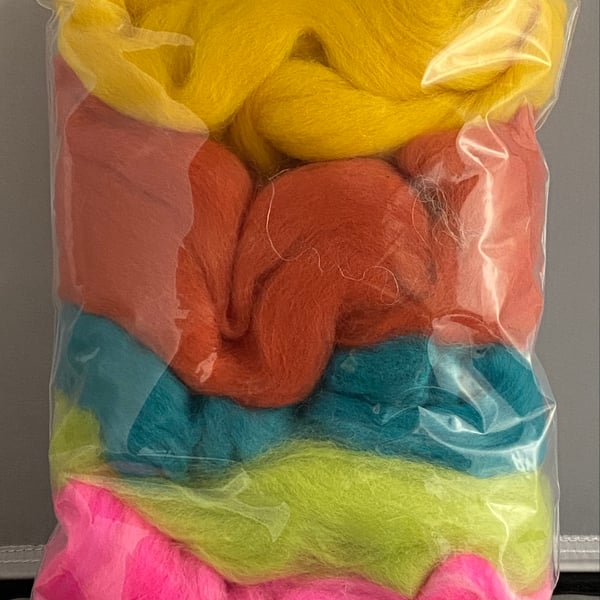 100g Wool Fibre Pack -brights