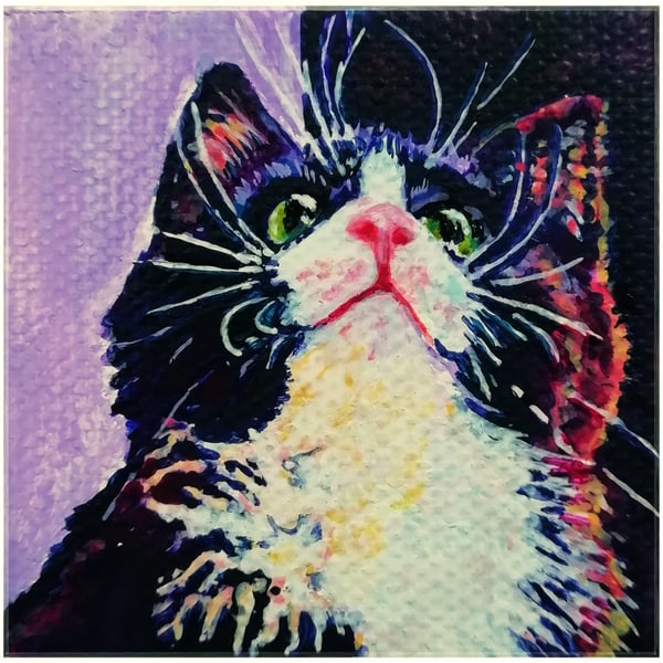 Custom pet portrait 5 x 5cm (comes framed 11.5 x 11.5cm)