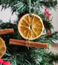 Dried Orange Christmas Decorations, Set of 4, Rustic Christmas Tree Decor - Image 1