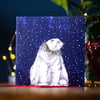  Star gazing Polar bear Christmas card