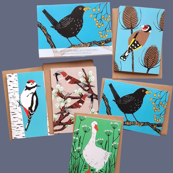 Notecards, Bird Cards, Set of Bird Cards, Card pack 