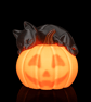 Sleepy Cat – 3D Printed Black Cat and Pumpkin Table Lamp