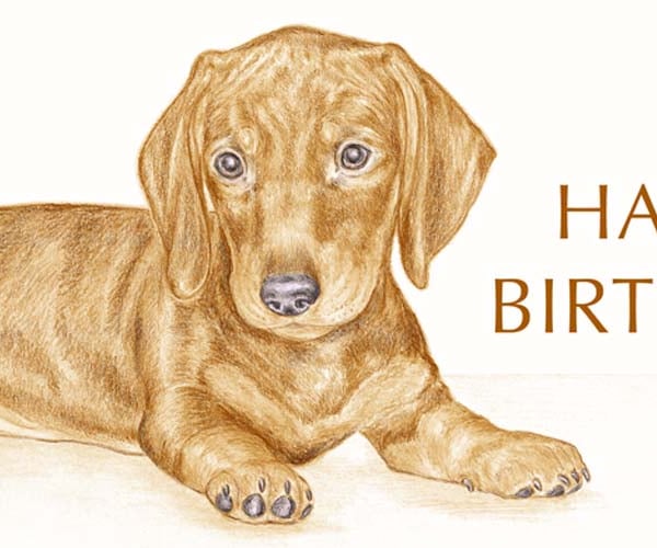 George the Dachshund - Birthday Card