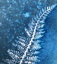 Fern Art, Pretty Art in Silver Plated Frame  - Image 4