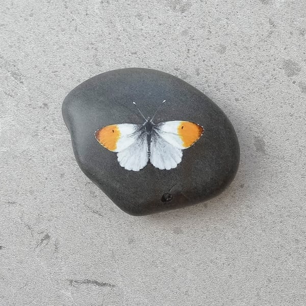 Butterfly Art  Hand Painted Stone Pebble 'Orange Tipped Butterfly'