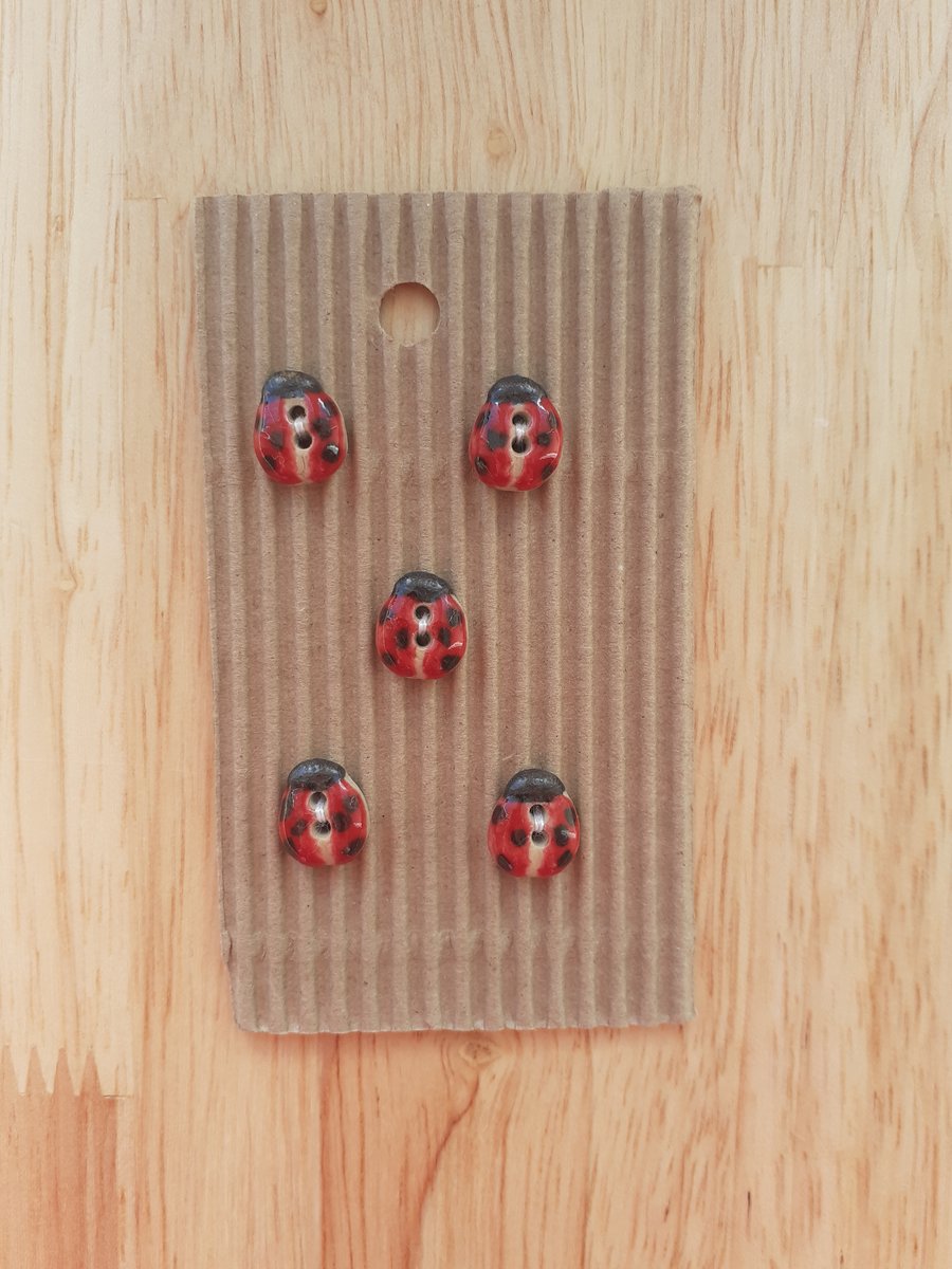 Set of 5 tiny ceramic ladybird buttons