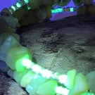 glow303. Lemon Jade Bracelet by BDS.