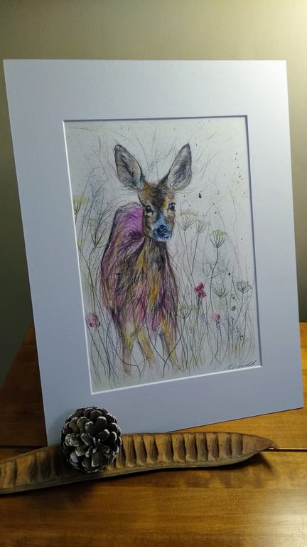 A4 or A3 signed Art Print - Roe Deer