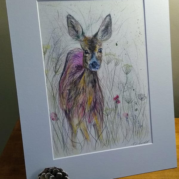 A4 or A3 signed Art Print - Roe Deer