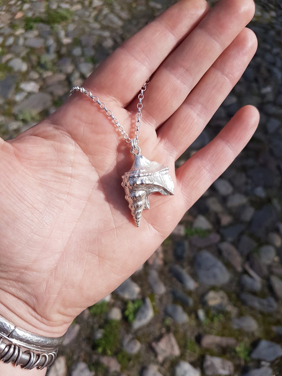 Pelican Foot Shell Necklace