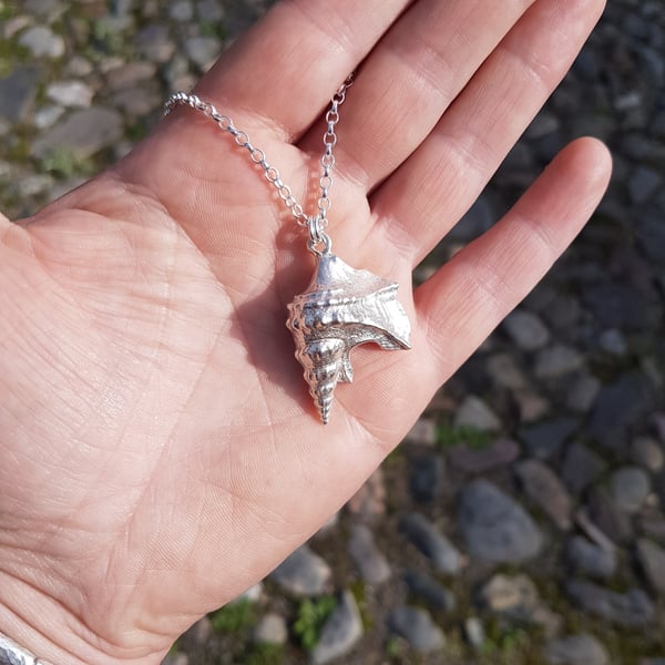 Pelican Foot Shell Necklace