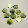 10 Lime Green Round Shell Discs