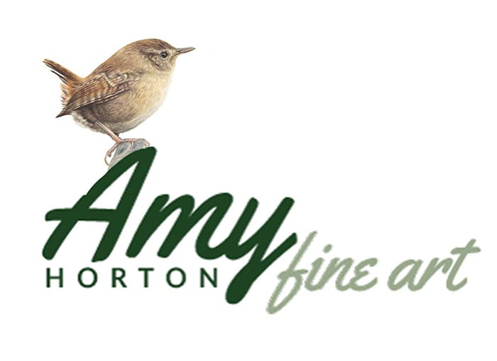 Amy Horton Fine Art