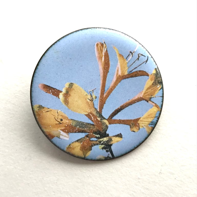 Circular Floral Enamelled Brooch - Honeysuckle -'Perfectly Imperfect'