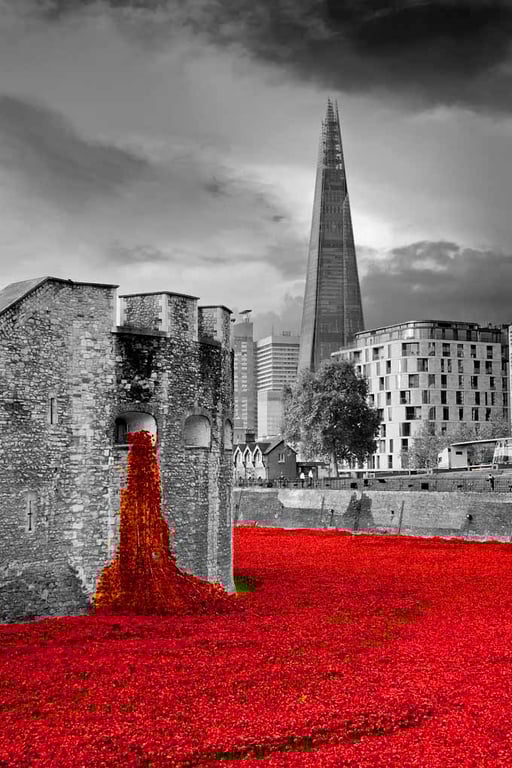 Tower of London Red Poppies England UK 12"x18" Print