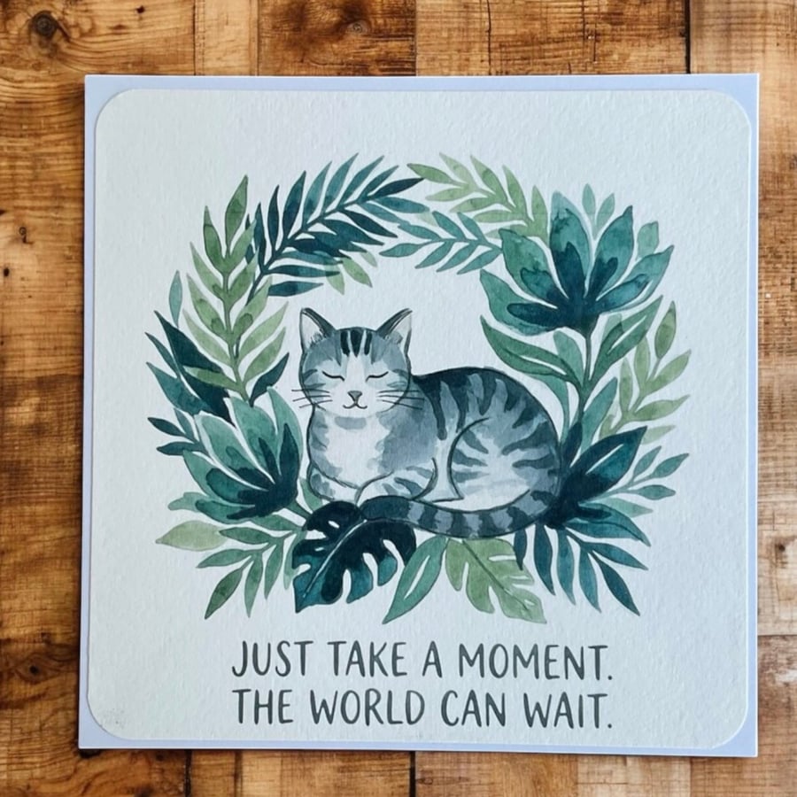 'Just Take A Moment' Cat Greetings Card
